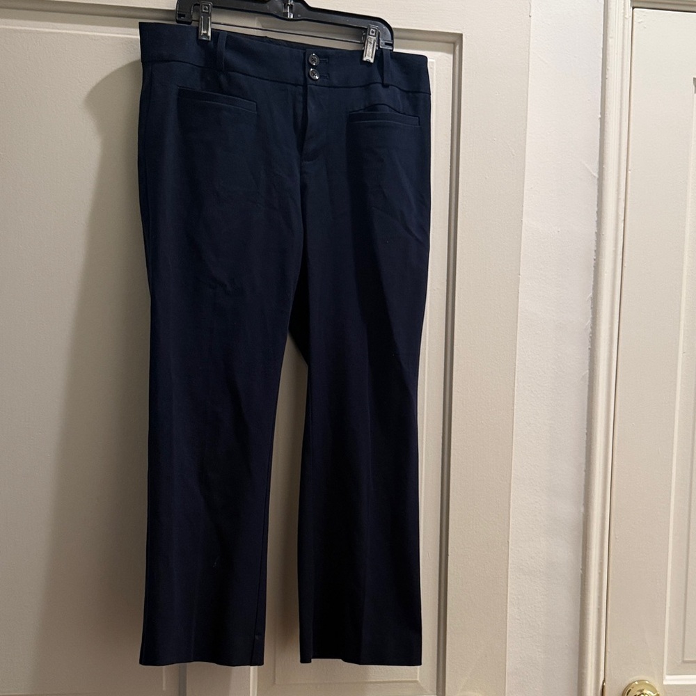 Anthropologie Midnight Blue Flare Pants